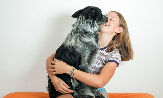 Co to jest obcas Thomasa?