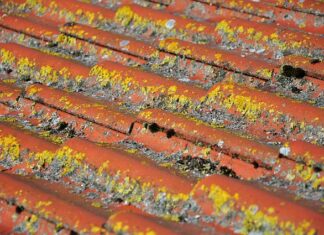 Co rozkłada się najdłużej?