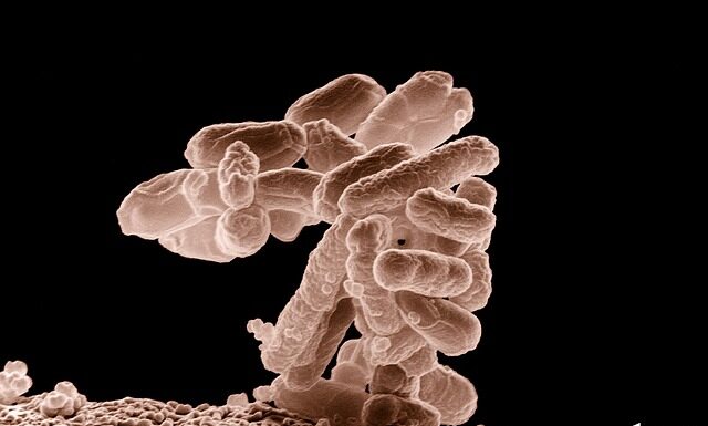 Jaki sprzęt podlega sterylizacji?