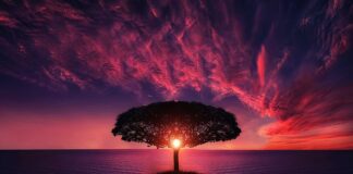 Jak zrobić wodę morska?