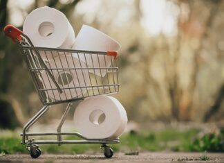 Jak długo rozkłada się papier toaletowy?