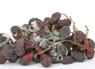 Jak dezynfekować sprzęt medyczny?