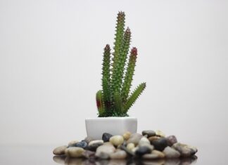 Czego unikać w składzie chusteczek dla dzieci?