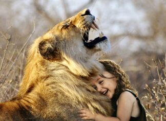 Jak długo bolą zęby po założeniu korony?