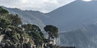 Ile kosztuje most na 3 zęby?