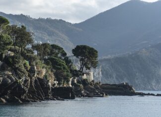 Ile kosztuje most na 3 zęby?