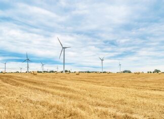Czego nie powinno się rolować?