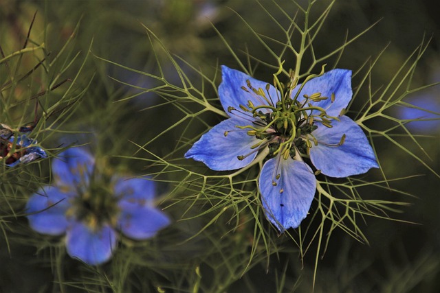 Jak używać zielonej pasty polerskiej? Jak używać zielonej pasty polerskiej?