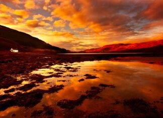 Co zamiast majtek poporodowych?