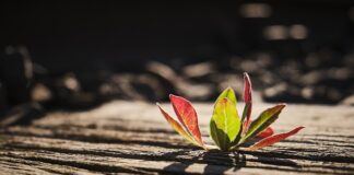 Ile podkładów poporodowych na łóżko?