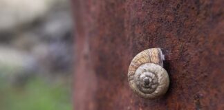 Po co tlenek cynku do zęba?