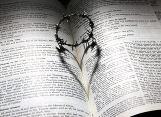 Ile kosztuje korona zęba 2023? Ile kosztuje korona zęba 2023?