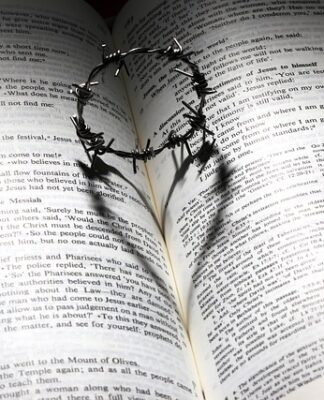 Ile kosztuje korona zęba 2023?