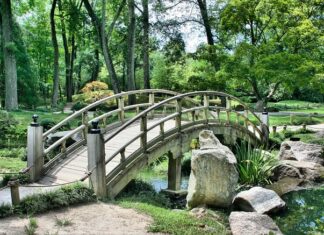 Czym się różni most od korony?