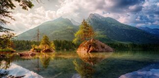 Ile kosztuje górna szczeka na 4 implantach?