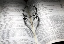 Czym różni się korona od licówki?