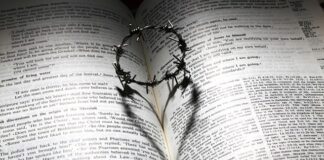 Czym różni się korona od licówki?